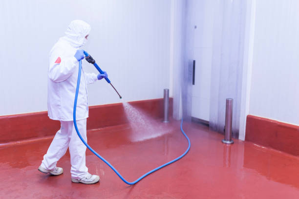 Best House Exterior Washing  in Wheaton, MD